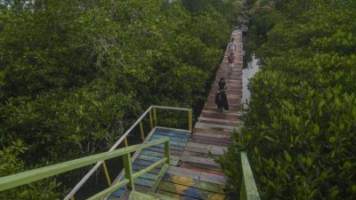 Menjelajahi Keindahan Kepulauan Meranti di Akhir Tahun: Destinasi yang Wajib Dikunjungi