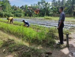 Program Pembinaan Warga Binaan Lapas Kelas IIB Tolitoli Tetap Berjalan Saat Libur Panjang Isra Mi’raj dan Imlek