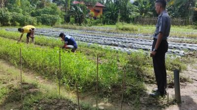 Program Pembinaan Warga Binaan Lapas Kelas IIB Tolitoli Tetap Berjalan Saat Libur Panjang Isra Mi’raj dan Imlek