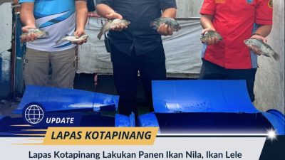 Lapas Kotapinang Lakukan Panen Ikan Nila, Ikan Lele dan Ayam : Serius Dukung Ketahanan Pangan Nasional Meskipun Ruang Terbatas