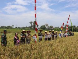 Letkol Inf Muhidin, S.H., M.I.P. Dukung Kegiatan Gerakan Tanam Padi dan Panen Raya di Kapanewon Jetis