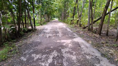 [Breaking News] Jalan Kabupaten Rusak Parah, Warga Masyarakat Keluhkan Pemerintahan Kabupaten