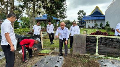 Penanaman bibit cabai dan tomat , Rutan Sidikalang Terus Dukung Ketahanan Pangan