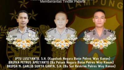 Polres Way Kanan Gerebek Arena Sabung Ayam di Karang Manik, Tiga Anggota Gugur dalam Tugas